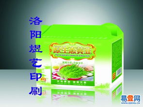 探索洛龍彩色印刷的藝術(shù)與科技融合